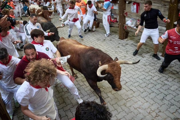 The eighth and final bull run of the 2026 San Fermin Festival, featuring bulls from the Jandilla ranch, will take place on July 14, 2026, in Pamplona, Navarre, Spain. The bulls from the Jandilla ranch will bring the San Fermín festivities to a close with their participation in the eighth running of the festival in Spain.  Copyright: xEduardoxSanzx 7663043