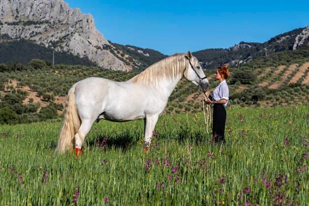 : 23. April 2024: : {Personen} 2 driver, {persons}, qualifies for the at Cortijo Borreguero Studio in Villanueva Del Trabuco, Malaga, ESP. (License=RF) ,model released, Symbolfoto Copyright: xZoonar.com WalterxGxArcexSr ASPx 25327224 ,model released, Symbolfoto ,property released