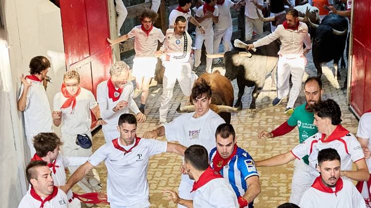Last running of the bulls of San Fermin 2026 with bulls from the Jandilla ranch in the section of the alley and entrance to the square, in Pamplona on July 14, 2026. Ultimo encierro de San Fermin 2026 con toros de la ganaderia de Jandilla en el tramo del callejon y entrada a la plaza, en Pamplona a 14 de julio de 2026. Inigo Alzugaray Cordon Press Cordon Press  InigoxAlzugaray @ialzu