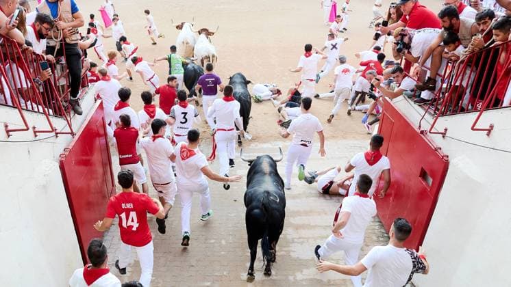 Last running of the bulls of San Fermin 2026 with bulls from the Jandilla ranch in the section of the alley and entrance to the square, in Pamplona on July 14, 2026. Ultimo encierro de San Fermin 2026 con toros de la ganaderia de Jandilla en el tramo del callejon y entrada a la plaza, en Pamplona a 14 de julio de 2026. Inigo Alzugaray Cordon Press Cordon Press  InigoxAlzugaray @ialzu