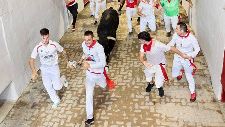 Last running of the bulls of San Fermin 2026 with bulls from the Jandilla ranch in the section of the alley and entrance to the square, in Pamplona on July 14, 2026. Ultimo encierro de San Fermin 2026 con toros de la ganaderia de Jandilla en el tramo del callejon y entrada a la plaza, en Pamplona a 14 de julio de 2026. Inigo Alzugaray Cordon Press Cordon Press  InigoxAlzugaray @ialzu