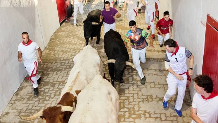 Last running of the bulls of San Fermin 2026 with bulls from the Jandilla ranch in the section of the alley and entrance to the square, in Pamplona on July 14, 2026. Ultimo encierro de San Fermin 2026 con toros de la ganaderia de Jandilla en el tramo del callejon y entrada a la plaza, en Pamplona a 14 de julio de 2026. Inigo Alzugaray Cordon Press Cordon Press  InigoxAlzugaray @ialzu