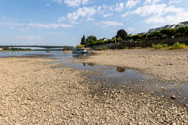 Niedrigwasser am Rhein: Freiliegende Uferbereiche am Beueler Rheinufer in Bonn Bonn-Beuel, Nordrhein-Westfalen, Deutschland 14.07.2026: Das Beueler Rheinufer zeigt sich bei sommerlichem Wetter mit einem deutlich niedrigen Wasserstand des Rheins. Weite Kies- und Sandflächen sind freigelegt, während sich der Fluss auf sein schmaleres Bett zurückgezogen hat. Der aktuelle Rheinpegel am Pegel Bonn liegt bei rund 102 bis 103 Zentimetern und unterstreicht die anhaltende Niedrigwassersituation. Bonn Beuel Nordrhein-Westfalen Deutschland *** Low Water Levels on the Rhine: Exposed Riverbanks on the Beuel Side of the Rhine in Bonn, Bonn Beuel, North Rhine-Westphalia, Germany July 14, 2026 The Beuel bank of the Rhine is visible in summery weathe