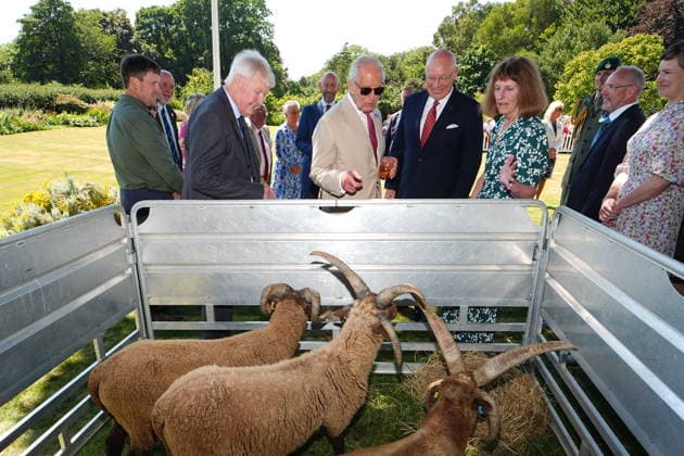King Charles attends Manx community garden party in Onchan, Isle of Man, 14 July 2026 King Charles III, Lord of Mann, views sheep at a Garden Party for members of the Manx community, at Government House in Onchan, during his trip to the Isle of Man. Picture date: Tuesday July 14, 2026., Credit:Aaron Chown PA ROTA - B68 Avalon Isle of Man, Onchan  Copyright: xAaronxChownx xPAxROTAx-xB68x xAvalonx 1116490261