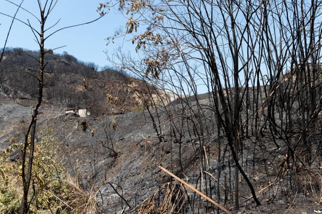 Fire breaks out on Solfatara volcano in Pozzuoli POZZUOLI, ITALY - JULY 14: The aftermath of a wildfire is seen in the Pisciarelli area on the outer edge of the Solfatara volcanic crater in the Campi Flegrei (Phlegraean Fields) volcanic region near Naples, Italy, on July 14, 2026. The fire, which broke out on July 13, burned vegetation across the area as firefighters continued assessment and recovery operations. Eliano Imperato Anadolu Naples Italy. Editorial use only. Please get in touch for any other usage.  Copyright: x2026xAnadoluxElianoxImperatox