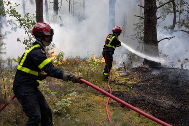 Firefighters operate during a fire in the Fontainebleau Forest - Noisy-sur-Ecole Firefighters operate during a fire in the Fontainebleau Forest, in Noisy-sur-Ecole, in the Paris Ile-de-France region on July 14, 2026. Photo by Raphael Lafargue ABACAPRESS.COM Noisy-sur-Ecole France  Copyright: xLafarguexRaphael ABACAx
