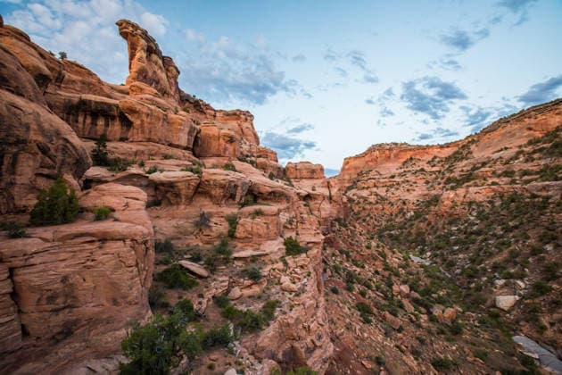 Creative Highlights World Person rock climbing in a massive desert canyon Grand Junction, Colorado, USA CR_JDIP260712B-2073196-01 ,model released, Symbolfoto ,property released