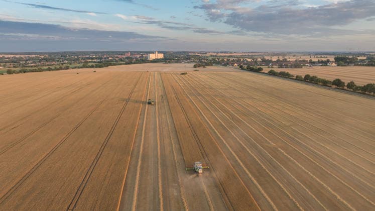 2026.07.14 Auf einem Feld bei Pasewalk wird Roggen geerntet Pasewalk Mecklenburg-Vorpommern Deutschland *** July 14, 2026: Rye is being harvested in a field near Pasewalk, Pasewalk, Mecklenburg-Western Pomerania, Germany