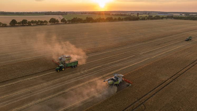 2026.07.14 Auf einem Feld bei Pasewalk wird Roggen geerntet Pasewalk Mecklenburg-Vorpommern Deutschland *** July 14, 2026: Rye is being harvested in a field near Pasewalk, Pasewalk, Mecklenburg-Western Pomerania, Germany