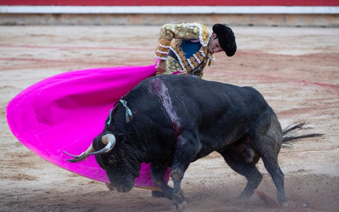 Thomas Rufo performs with a Jandilla fighting bulls during the final bullfight in the Fiesta de San Fermin and Feria del Toro 2026 in Pamplona, northern Spain, on July 14, 2026. Rufo cut four ears on his two bulls and was carried out from the bullring on shoulders. The renowned festival ends at midnight today.  PAM20260714155 JimxHollander