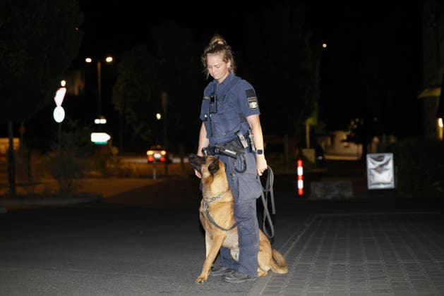 in Polizeihund mit seiner Hundeführerin führt eine systematische Spurensuche am DM-Markt durch. Der Einsatzort dient als Sammelpunkt für die großflächige Fahndung nach dem flüchtigen Verdächtigen. *** A police dog and its handler are conducting a systematic search for evidence at the DM Markt. The scene serves as a staging area for the large-scale manhunt for the fugitive suspect. Copyright: HMBxMedia xHeikoxBecker