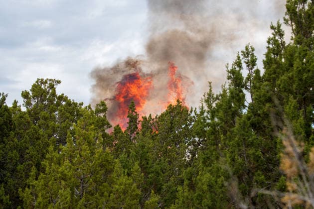 July 14, 2026, Vernon, Utah, USA: Flames and a thick column of smoke erupt from a stand of juniper trees near Vernon, Utah, on Tuesday, July 14, 2026. Extreme fire behavior and erratic winds continue to challenge suppression efforts on the active Stookey wildfire in Tooele County. Vernon USA - ZUMAm292 20260714_znp_m292_029 Copyright: xCharlesxMcClintockxWilsonx