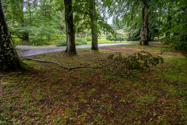 15.07.2026, Bad Wörishofen, Unterallgäu, Schäden nach dem heftigen Gewittersturm mit Hagel am vergangenen Abend über der Stadt Bad Wörishofen im Unterallgäu (Bayern). Abgebrochene Äste liegen auf dem Boden, hier im Kurpark 15.07.2026, Gewitter 15.07.2026, Gewitter *** July 15, 2026, Bad Wörishofen, Unterallgäu, Damage following the violent thunderstorm with hail last evening over the town of Bad Wörishofen in Unterallgäu, Bavaria. Broken branches lie on the ground, here in the spa park July 15, 2026, Thunderstorm July 15, 2026, Thunderstorm