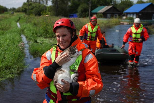 RUSSIA, SVERDLOVSK REGION - JULY 15, 2026: An emergency worker rescues a cat from the flood-hit village of Zaikovo, southwest of Irbit. Donat Sorokin TASS  95063906