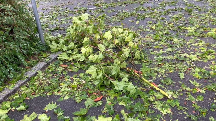 Unwetter in Reutlingen, Eine schwere Gewitterzelle mit intensivem Hagel zieht über Reutlingen hinweg. Innerhalb kurzer Zeit gehen kräftige Regenfälle und teils größerer Hagel nieder. Straßen und Plätze stehen stellenweise unter Wasser, während Blitz und Donner das Unwetter begleiten. Reutlingen Baden-Württemberg Deutschland Reutlingen *** Severe weather in Reutlingen: A severe thunderstorm cell with intense hail is moving across Reutlingen. Within a short time, heavy rain and, in some cases, large hailstones are falling. Streets and squares are flooded in places, while lightning and thunder accompany the storm. Reutlingen, Baden-Württemberg, Germany. Reutlingen Copyright: x xonw-imagesx xNicklasxWaltherx