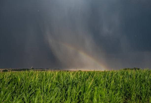 UNWETTER ÜBER THÜRINGEN ** NUR FÜR REDAKTIONELLE ZWECKE ** EDITORIAL USE ONLY **<p>14 07 2026-Oppershausen: Ein Regenbogen ist am Rande einer abziehenden Superzelle bei Oppershausen (Unstrut-Hainich-Kreis) zu sehen. Das Gewitter zog von Mühlhausen kommend in Richtung Gotha weiter. ( Deutschland Thueringen Oppershausen Copyright: SaschaxFromm *** SEVERE WEATHER OVER THURINGIA ** FOR EDITORIAL PURPOSES ONLY ** EDITORIAL USE ONLY ** July 14, 2026, Oppershausen: A rainbow is visible at the edge of a receding supercell near Oppershausen in the Unstrut-Hainich district. The thunderstorm moved from Mühlhausen toward Gotha. Germany, Thuringia, Oppershausen. Copyright SaschaxFromm Copyright: SaschaxFromm doc86q4zhay57px2k8ye57 ,EDITORIAL USE ONLY