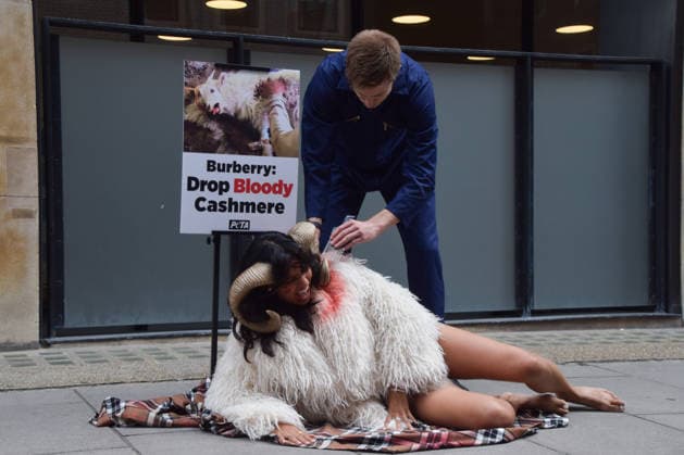 July 15, 2026, London, England, United Kingdom: A PETA activist dressed as a bloodied goat has hair aggressively torn from her bodyÃ¢â‚¬â ¢ by a farmer outside the Burberry headquarters at Horseferry House as the fashion group holds its Annual General Meeting (AGM). The action is part of the animal rights group s ongoing campaign calling on Burberry to drop cashmere, which PETA says is produced using very cruel methods. London United Kingdom  - ZUMAv130 20260715_zip_v130_003 Copyright: xVukxValcicx