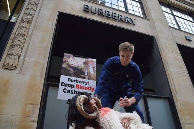 July 15, 2026, London, England, United Kingdom: A PETA activist dressed as a bloodied goat has hair aggressively torn from her bodyÃ¢â‚¬â ¢ by a farmer outside the Burberry headquarters at Horseferry House as the fashion group holds its Annual General Meeting (AGM). The action is part of the animal rights group s ongoing campaign calling on Burberry to drop cashmere, which PETA says is produced using very cruel methods. London United Kingdom  - ZUMAv130 20260715_zip_v130_004 Copyright: xVukxValcicx