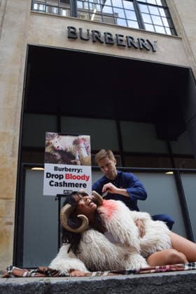 July 15, 2026, London, England, United Kingdom: A PETA activist dressed as a bloodied goat has hair aggressively torn from her bodyÃ¢â‚¬â ¢ by a farmer outside the Burberry headquarters at Horseferry House as the fashion group holds its Annual General Meeting (AGM). The action is part of the animal rights group s ongoing campaign calling on Burberry to drop cashmere, which PETA says is produced using very cruel methods. London United Kingdom  - ZUMAv130 20260715_zip_v130_005 Copyright: xVukxValcicx