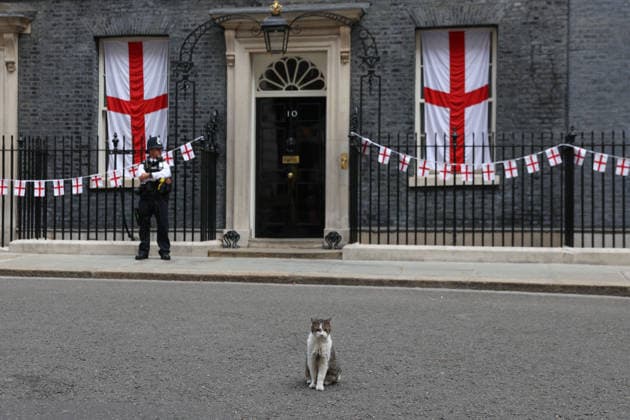 July 15, 2026, London, England, United Kingdom: Larry the Cat, Chief Mouser to the Cabinet Office, sits outside 10 Downing Street ahead of England s FIFA World Cup semi-final against Argentina. London United Kingdom - ZUMAa279 20260715_zsp_a279_084 Copyright: xZeynepxDemirxAslimx