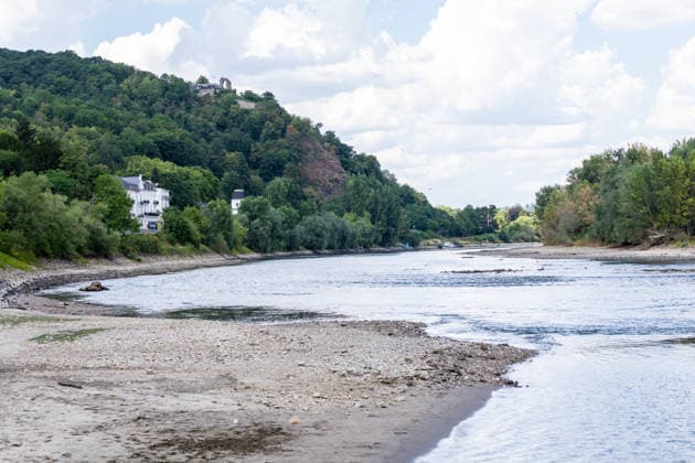 Niedrigwasser am Rhein bei Rolandseck Niedrigwasser am Rhein bei Rolandseck an der Rheininsel Nonnenwerth. Bei einem Pegelstand von 24 cm am Pegel Oberwinter haben anlegende Schiffe bereits Grundberührung. Remagen Rheinland-Pfalz Deutschland *** Low Water Levels on the Rhine at Rolandseck Low Water Levels on the Rhine at Rolandseck on the Rhine Island of Nonnenwerth With the water level at the Oberwinter gauge standing at 24 cm, ships attempting to dock are already running aground Remagen Rhineland-Palatinate Germany Copyright: xMarcxJohnx