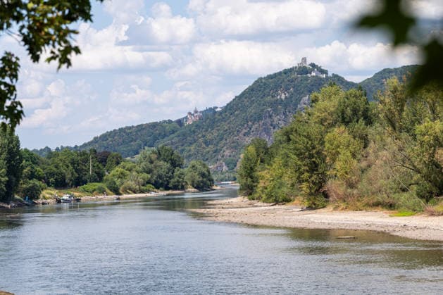 News Bilder des Tages Niedrigwasser am Rhein bei Rolandseck Niedrigwasser am Rhein bei Rolandseck an der Rheininsel Nonnenwerth. Bei einem Pegelstand von 24 cm am Pegel Oberwinter haben anlegende Schiffe bereits Grundberührung. Remagen Rheinland-Pfalz Deutschland *** Low Water Levels on the Rhine at Rolandseck Low Water Levels on the Rhine at Rolandseck on the Rhine Island of Nonnenwerth With the water level at the Oberwinter gauge standing at 24 cm, ships attempting to dock are already running aground Remagen Rhineland-Palatinate Germany Copyright: xMarcxJohnx