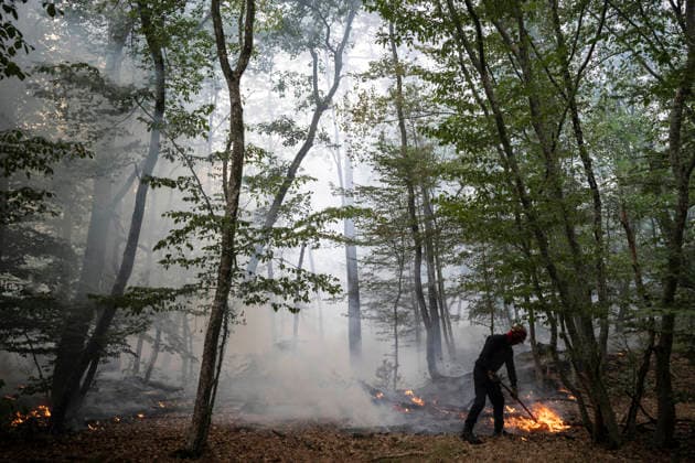 Fire in The Fontainebleau Forest - France A Parisian (BSPP - Brigade de Sapeurs Pompiers de Paris) firefighter operates during a fire in the Fontainebleau Forest near Paris on July 15, 2026. Photo by Eliot Blondet ABACAPRESS.COM Fontainebleau France France  Copyright: xBlondetxEliot ABACAx