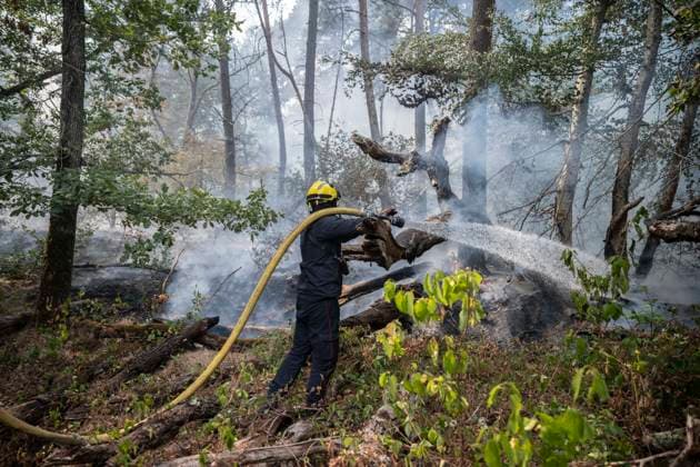 Fire in The Fontainebleau Forest - France A Parisian (BSPP - Brigade de Sapeurs Pompiers de Paris) firefighter operates during a fire in the Fontainebleau Forest near Paris on July 15, 2026. Photo by Eliot Blondet ABACAPRESS.COM Fontainebleau France France  Copyright: xBlondetxEliot ABACAx