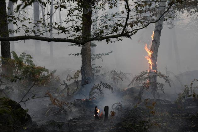Massive wildfire spreads through Fontainebleau Forest near Paris FONTAINEBLEAU, FRANCE - JULY 15: An exceptionally large wildfire is spreading across the Fontainebleau Forest, south of Paris, France, on July 15, 2026. Fueled by an intense heat wave, prolonged drought conditions and strong winds, the blaze is rapidly advancing through the woodland, destroying hundreds of hectares of vegetation. Firefighting teams continue efforts to contain the fire and prevent further damage. Dragan Lekic Anadolu Paris France. Editorial use only. Please get in touch for any other usage.  Copyright: x2026xAnadoluxDraganxLekicx