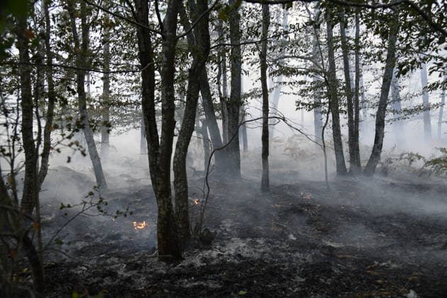 Massive wildfire spreads through Fontainebleau Forest near Paris FONTAINEBLEAU, FRANCE - JULY 15: An exceptionally large wildfire is spreading across the Fontainebleau Forest, south of Paris, France, on July 15, 2026. Fueled by an intense heat wave, prolonged drought conditions and strong winds, the blaze is rapidly advancing through the woodland, destroying hundreds of hectares of vegetation. Firefighting teams continue efforts to contain the fire and prevent further damage. Dragan Lekic Anadolu Paris France. Editorial use only. Please get in touch for any other usage.  Copyright: x2026xAnadoluxDraganxLekicx