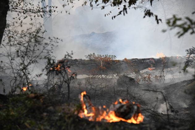 Massive wildfire spreads through Fontainebleau Forest near Paris FONTAINEBLEAU, FRANCE - JULY 15: An exceptionally large wildfire is spreading across the Fontainebleau Forest, south of Paris, France, on July 15, 2026. Fueled by an intense heat wave, prolonged drought conditions and strong winds, the blaze is rapidly advancing through the woodland, destroying hundreds of hectares of vegetation. Firefighting teams continue efforts to contain the fire and prevent further damage. Dragan Lekic Anadolu Paris France. Editorial use only. Please get in touch for any other usage.  Copyright: x2026xAnadoluxDraganxLekicx