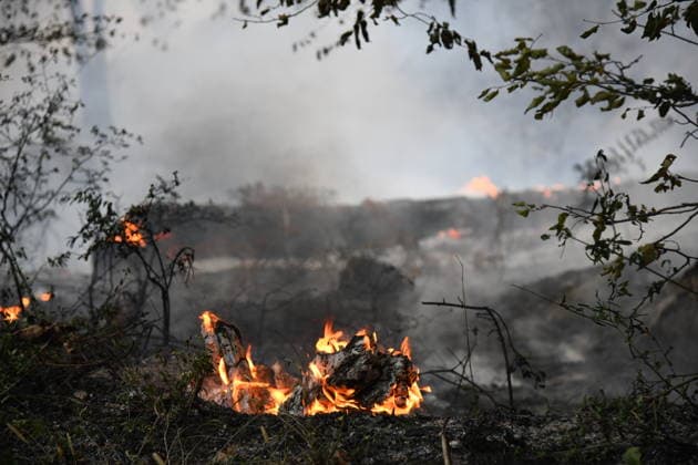 Massive wildfire spreads through Fontainebleau Forest near Paris FONTAINEBLEAU, FRANCE - JULY 15: An exceptionally large wildfire is spreading across the Fontainebleau Forest, south of Paris, France, on July 15, 2026. Fueled by an intense heat wave, prolonged drought conditions and strong winds, the blaze is rapidly advancing through the woodland, destroying hundreds of hectares of vegetation. Firefighting teams continue efforts to contain the fire and prevent further damage. Dragan Lekic Anadolu Paris France. Editorial use only. Please get in touch for any other usage.  Copyright: x2026xAnadoluxDraganxLekicx