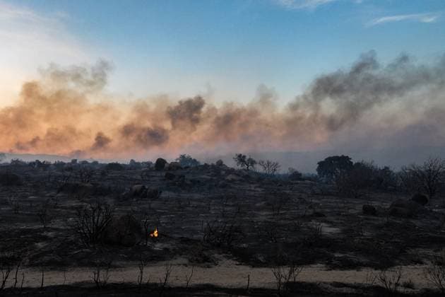 July 15, 2026, Boulevard, California, United States: Smoke and flame are seen along the road..The Thorn Fire burns near Buckthorn Trail and Clover Trail in the Boulevard Campo area of southeastern San Diego County on Wednesday, July 15, 2026. Fueled by hot, dry conditions, the wildfire spreads rapidly, prompts evacuation orders and warnings, temporarily closes portions of Interstate 8, and draws a large response from Cal Fire and local agencies. Firefighters on the ground, supported by air tankers and helicopters, work to slow the fire s advance and protect nearby homes and infrastructure as officials monitor changing fire conditions. Boulevard United States  - ZUMAs197 20260715_aaa_s197_302 Copyright: xWaixLeexMichaelxHox
