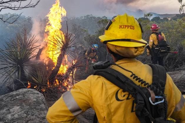 July 15, 2026, Boulevard, California, United States: Firefighters battle the Thorn Fire..The Thorn Fire burns near Buckthorn Trail and Clover Trail in the Boulevard Campo area of southeastern San Diego County on Wednesday, July 15, 2026. Fueled by hot, dry conditions, the wildfire spreads rapidly, prompts evacuation orders and warnings, temporarily closes portions of Interstate 8, and draws a large response from Cal Fire and local agencies. Firefighters on the ground, supported by air tankers and helicopters, work to slow the fire s advance and protect nearby homes and infrastructure as officials monitor changing fire conditions. Boulevard United States  - ZUMAs197 20260715_aaa_s197_303 Copyright: xWaixLeexMichaelxHox