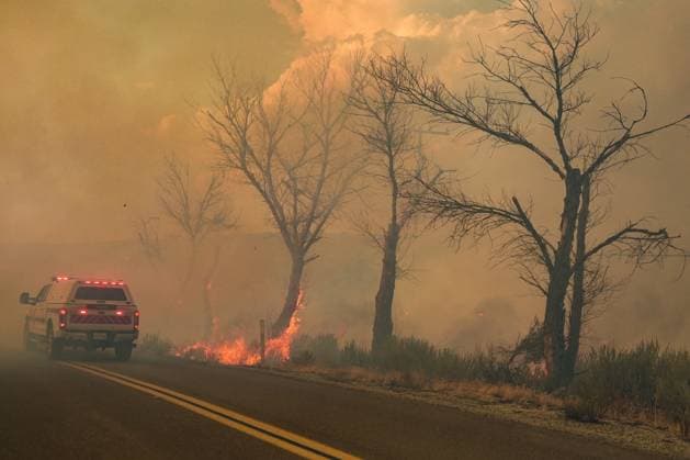July 15, 2026, Boulevard, California, United States: Smoke and flame are seen along the road..The Thorn Fire burns near Buckthorn Trail and Clover Trail in the Boulevard Campo area of southeastern San Diego County on Wednesday, July 15, 2026. Fueled by hot, dry conditions, the wildfire spreads rapidly, prompts evacuation orders and warnings, temporarily closes portions of Interstate 8, and draws a large response from Cal Fire and local agencies. Firefighters on the ground, supported by air tankers and helicopters, work to slow the fire s advance and protect nearby homes and infrastructure as officials monitor changing fire conditions. Boulevard United States  - ZUMAs197 20260715_aaa_s197_327 Copyright: xWaixLeexMichaelxHox