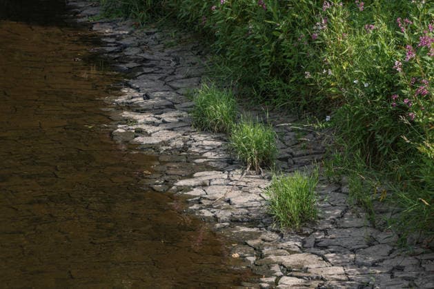 Sommer im Siegerland. Der Fluss Sieg wie hier bei Niederschelden fuehrt (führt) zur Zeit relativ wenig Wasser. Die Bezirksregierung Arnsberg untersagt daher die Wasserentnahme im Regierungsbezirk u.a. aus der Sieg aufgrund anhaltender Trockenheit. Sommer im Siegerland am 16.07.2026 in Siegen Deutschland. *** Summer in the Siegerland: The Sieg River, as seen here near Niederschelden, is currently carrying relatively little water. The Arnsberg District Government has therefore banned water withdrawal in the district—including from the Sieg—due to the ongoing drought. Summer in the Siegerland on July 16, 2026, in Siegen, Germany
