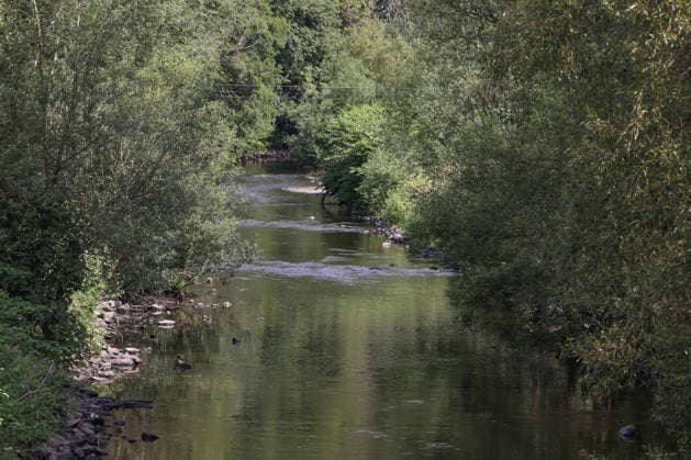 Sommer im Siegerland. Der Fluss Sieg wie hier bei Niederschelden fuehrt (führt) zur Zeit relativ wenig Wasser. Die Bezirksregierung Arnsberg untersagt daher die Wasserentnahme im Regierungsbezirk u.a. aus der Sieg aufgrund anhaltender Trockenheit. Sommer im Siegerland am 16.07.2026 in Siegen Deutschland. *** Summer in the Siegerland: The Sieg River, as seen here near Niederschelden, is currently carrying relatively little water. The Arnsberg District Government has therefore banned water withdrawal in the district—including from the Sieg—due to the ongoing drought. Summer in the Siegerland on July 16, 2026, in Siegen, Germany