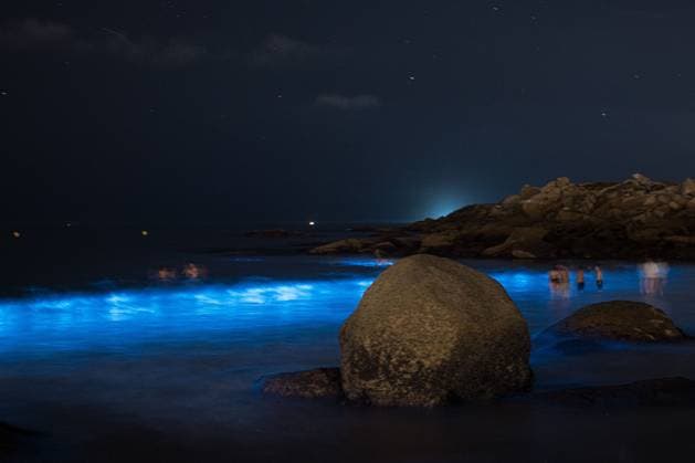News Themen der Woche KW29 O GROVE, PONTEVEDRA, SPAIN JULY 16, 2026: Bioluminescence, known in Galicia as Mar de Ardora, illuminates the coast of O Grove during the early hours of July 16, 2026. The natural phenomenon is caused by marine microorganisms that emit light when the water is disturbed and can be favoured by concentrations of microalgae and warmer sea temperatures. O GROVE Pontevedra Spain Copyright: x xElenaxFernandezxFajinx xJNAxPressx