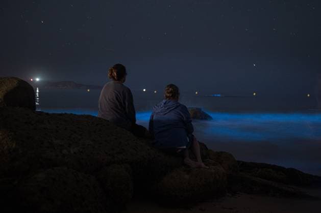 O GROVE, PONTEVEDRA, SPAIN JULY 16, 2026: Bioluminescence, known in Galicia as Mar de Ardora, illuminates the coast of O Grove during the early hours of July 16, 2026. The natural phenomenon is caused by marine microorganisms that emit light when the water is disturbed and can be favoured by concentrations of microalgae and warmer sea temperatures. O GROVE Pontevedra Spain Copyright: x xElenaxFernandezxFajinx xJNAxPressx