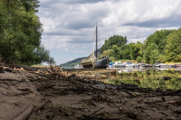 Niedrigwasser am Rhein - Hitzewelle und Trockenheit lassen Pegel sinken Insel Grafenwerth. Mit dem Aalschokker Aranka, der im toten Rheinarm nahezu auf Grund liegt - Niedrigwasser am Rhein infolge anhaltender Trockenheit und einer Hitzewelle mit Temperaturen über 30 Grad. Zwischen Bad Honnef und Bonn liegen die Pegelstände bei 24 cm am Pegel Oberwinter und 95 cm am Pegel Bonn. Die Binnenschifffahrt ist eingeschränkt - Frachtschiffe können nur noch mit reduzierter Ladung fahren. Bad Honnef Insel Grafenwewrth Nordrhein-Westfalen Deutschland *** Low Water Levels on the Rhine: Heat Wave and Drought Cause Water Levels to Drop Grafenwerth Island: The eel boat Aranka, which is nearly aground in the dead arm of the Rhine Low water levels on the Copyright: xMarcxJohnx