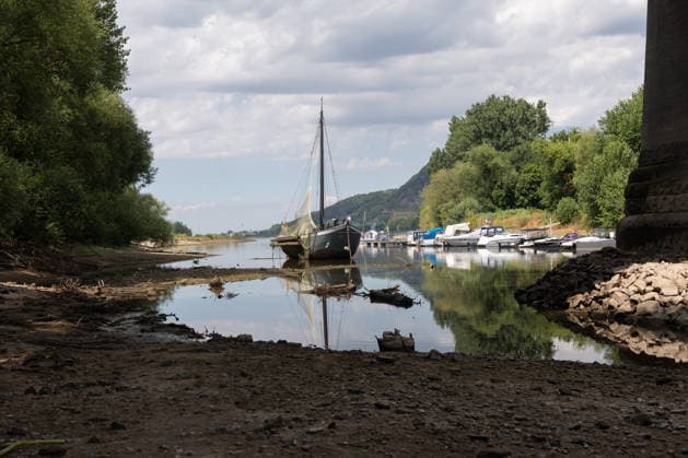 Niedrigwasser am Rhein - Hitzewelle und Trockenheit lassen Pegel sinken Insel Grafenwerth. Mit dem Aalschokker Aranka, der im toten Rheinarm nahezu auf Grund liegt - Niedrigwasser am Rhein infolge anhaltender Trockenheit und einer Hitzewelle mit Temperaturen über 30 Grad. Zwischen Bad Honnef und Bonn liegen die Pegelstände bei 24 cm am Pegel Oberwinter und 95 cm am Pegel Bonn. Die Binnenschifffahrt ist eingeschränkt - Frachtschiffe können nur noch mit reduzierter Ladung fahren. Bad Honnef Insel Grafenwewrth Nordrhein-Westfalen Deutschland *** Low Water Levels on the Rhine: Heat Wave and Drought Cause Water Levels to Drop Grafenwerth Island: The eel boat Aranka, which is nearly aground in the dead arm of the Rhine Low water levels on the Copyright: xMarcxJohnx
