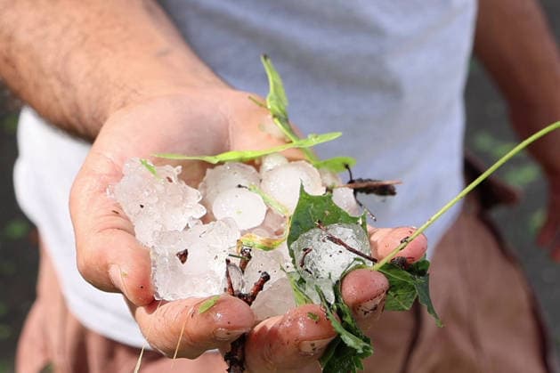 Unwetter in Neckartenzlingen, Ein schweres Unwetter mit heftigem Hagel ist über Neckartenzlingen in Baden-Württemberg hinweggezogen. Innerhalb kurzer Zeit verwandelten dicke Hagelmassen Straßen, Wiesen und Gärten in eine nahezu vollständig weiße Landschaft. Gleichzeitig sorgten starke Sturmböen für umgestürzte Bäume und Behinderungen im Straßenverkehr. Einsatzkräfte waren im Einsatz, um Gefahrenstellen zu beseitigen und Verkehrswege wieder freizumachen. Neckartenzlingen Baden-Württemberg Deutschland Neckartenzlingen *** Severe Weather in Neckartenzlingen: A severe storm with heavy hail swept through Neckartenzlingen in Baden-Württemberg. Within a short time, large hailstones transformed streets, meadows, and gardens into an alm Copyright: x xonw-imagesx xDanielxKesslerx