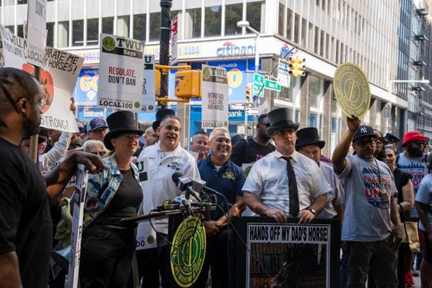 July 16, 2026, New York, New York, USA: The City Council held a hearing to consider a bill, known as RomanchÃ¢â‚¬â ¢s Law, that would phase out and eventually ban horse-drawn carriages...The bill is named after the 18-year-old tourist from India who was killed last month when he was thrown from a runaway carriage in Central Park after the horse was spooked. New York USA  - ZUMAs142 20260716_fap_s142_001 Copyright: xNancyxSieselx
