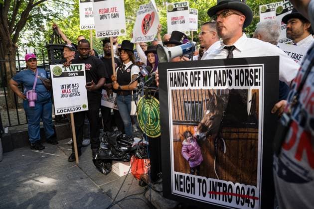 July 16, 2026, New York, New York, USA: The City Council held a hearing to consider a bill, known as RomanchÃ¢â‚¬â ¢s Law, that would phase out and eventually ban horse-drawn carriages...The bill is named after the 18-year-old tourist from India who was killed last month when he was thrown from a runaway carriage in Central Park after the horse was spooked. New York USA  - ZUMAs142 20260716_fap_s142_005 Copyright: xNancyxSieselx