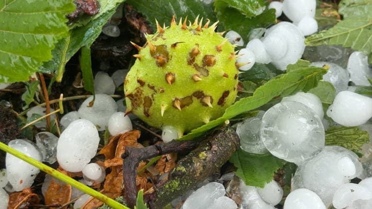 Schwere Unwetter sind erneut über Baden-Württemberg hinweg gezogen. Betroffen war die Gegend um Metzingen. In Riedrich zog eine Superzelle über die Ortschaft. Bis zu 5 cm großer Hagel ist gefallen. Autofahrer suchten mitten im Hagelsturm (on tape) Schutz unter einer Tankstelle oder deckten ihre Autos mit Decken ab. Erneut gibt es für viele Autofahrer Hageldellen. Sturmschäden gab es ebenfalls. Die Feuerwehr Bempflingen ist im Einsatz und muss einige Sturmschäden beseitigen. Betroffen ist auch die B 312. Hier stürzten ebenfalls Bäume auf die Bundesstraße. Die Feuerwehr ist mit Kettensägen im Dauereinsatz. In Grabstetten wurden Heckscheiben vom Hagel durchschlagen und Campingfahrzeuge zerstört Bempflingen Baden-Württemberg Deutschland ***