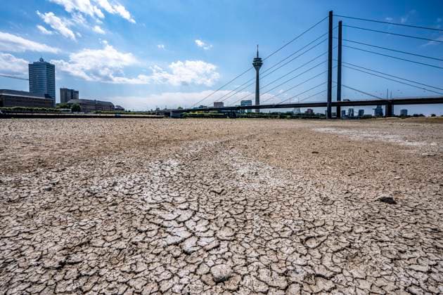 Vertrocknetes Flussbett, brüchige Schollen, extremes Niedrigwasser, Rheinpegel bei 41 cm, Tendenz fallend, Frachter müssen mit reduzierter Ladung fahren, nach der langen Dürre fällt das linke Rheinufer, bei Düsseldorf Oberkassel trocken, Rheinkniebrücke, Rheinturm, NRW, Deutschland Niedrigwasser Rhein *** Dried-up riverbed, crumbly clods of earth, extremely low water levels, Rhine water level at 41 cm, and falling; freighters must sail with reduced cargo; after the long drought, the left bank of the Rhine—including the area near Düsseldorf-Oberkassel—is dry; Rheinknie Bridge, Rhine Tower, North Rhine-Westphalia, Germany; low water levels on the Rhine