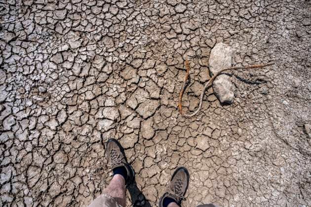 Vertrocknetes Flussbett, brüchige Schollen, extremes Niedrigwasser, Rheinpegel bei 41 cm, Tendenz fallend, Frachter müssen mit reduzierter Ladung fahren, nach der langen Dürre fällt das linke Rheinufer, bei Düsseldorf Oberkassel trocken, NRW, Deutschland Niedrigwasser Rhein *** Dried-up riverbed, crumbly clods of earth, extremely low water levels, Rhine water level at 41 cm and falling; freighters must sail with reduced cargo; following the long drought, the left bank of the Rhine has dried up near Düsseldorf-Oberkassel; North Rhine-Westphalia, Germany; low water levels on the Rhine
