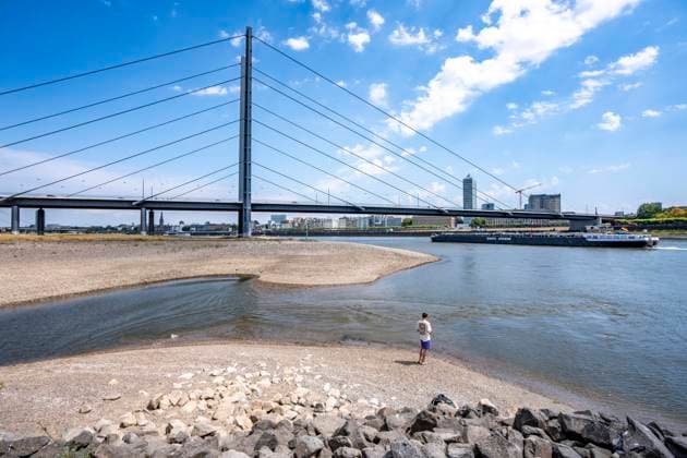 Vertrocknetes Flussbett, extremes Niedrigwasser, Rheinpegel bei 41 cm, Tendenz fallend, Frachter müssen mit reduzierter Ladung fahren, nach der langen Dürre fällt das linke Rheinufer, bei Düsseldorf Oberkassel trocken, Rheinkniebrücke, NRW, Deutschland Niedrigwasser Rhein *** Dried-up riverbed, extremely low water levels, Rhine water level at 41 cm and falling; cargo ships must sail with reduced loads; following the long drought, the left bank of the Rhine has dried up near Düsseldorf-Oberkassel; Rheinknie Bridge, North Rhine-Westphalia, Germany; low water levels on the Rhine