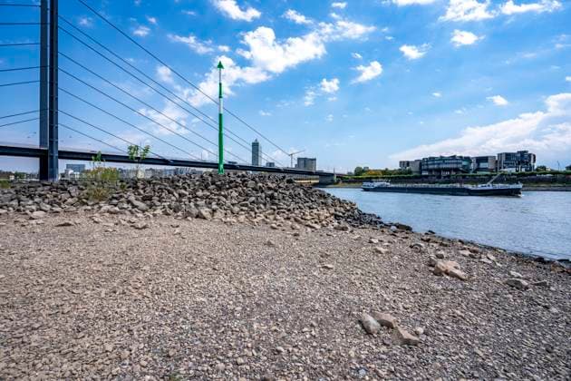 Vertrocknetes Flussbett, extremes Niedrigwasser, Rheinpegel bei 41 cm, Tendenz fallend, Frachtschiffe müssen mit reduzierter Ladung fahren, nach der langen Dürre fällt das linke Rheinufer, bei Düsseldorf Oberkassel trocken, Rheinkniebrücke, NRW, Deutschland Niedrigwasser Rhein *** Dried-up riverbed, extremely low water levels, Rhine water level at 41 cm, and falling; cargo ships must sail with reduced loads; following the long drought, the left bank of the Rhine near Düsseldorf-Oberkassel has dried up; Rheinknie Bridge, North Rhine-Westphalia, Germany; low water levels on the Rhine