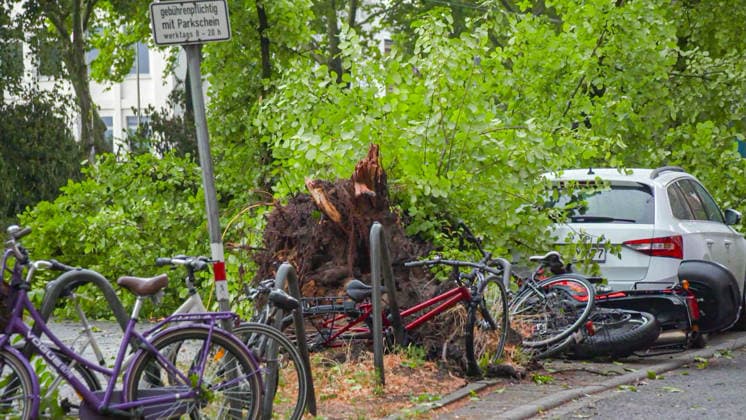 RECORD DATE NOT STATED Tödliches Unwetter in Karlsruhe: Superzelle zieht mit Downburst über Karlsruhe hinweg - heftige Sturmböen mit Starkregen und Hagel - unzählige Bäume stürzen im Stadtgebiet um - viele Bäume fallen auf Autos und Häuser - Straßen werden überschwemm Tödliches Unwetter in Karlsruhe: Superzelle zieht mit Downburst über Karlsruhe hinweg - heftige Sturmböen mit Starkregen und Hagel - unzählige Bäume stürzen im Stadtgebiet um - viele Bäume fallen auf Autos und Häuser - Straßen werden überschwemmt - Blitz setzt Dachstuhl in Brand - alle Feuerwehren in der Stadt Karlsruhe im Dauereinsatz - über 250 Einsatzstellen - gesamter Straßenbahnverkehr lahmgelegt *** Deadly Storm in Karlsruhe: Supercell Sweeps Through Karlsruhe with a Copyright: xHenryxMungenastx xEinsatzReport24x